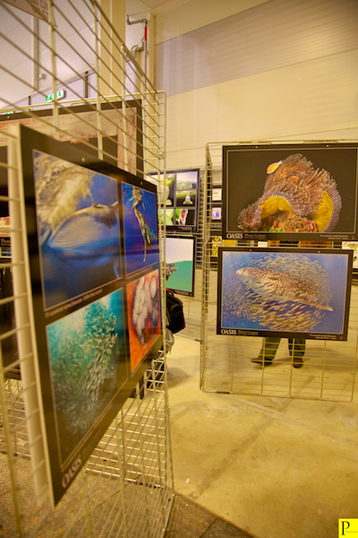 Mostra della rivista Oasis al photoshow 2012